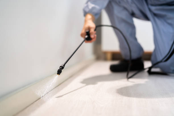 Licensed Pest Control service in River Road, NC - Show Me Pest Control