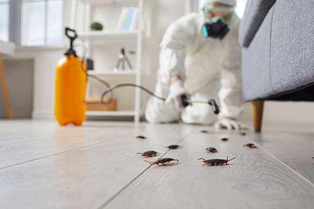 Commercial Kitchen Cockroach Control in River Road